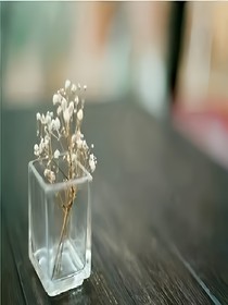 早安，晚安