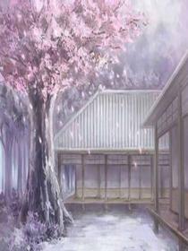 时光散记