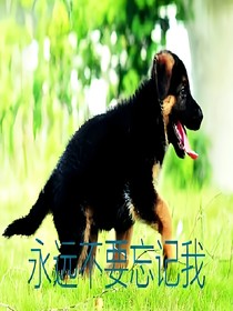 永远不要忘记我（之警犬）