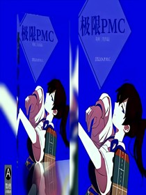 極限PMC