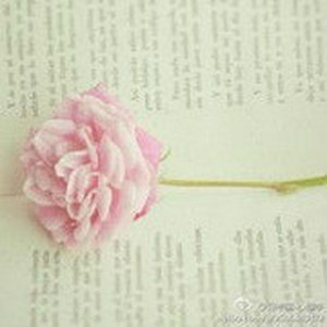 原来他暗恋过你全文阅读-深小角-话本小说网