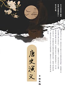 唐史演义