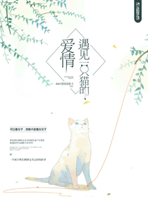 遇見一只貓的愛情