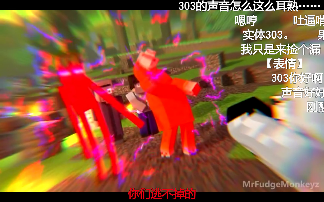 实体303