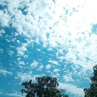 想不到不代表發(fā)生不了