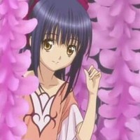 撫子