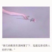 明星开学季主题征文