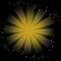 查理九世报告