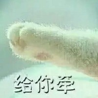 请留下你的评论