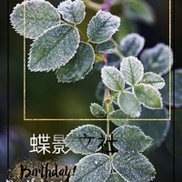 蝶影文社