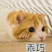 不定时犯病