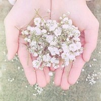 种草机
