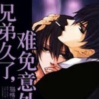 弟控與兄甜文重生