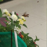 搞笑校園生活雜志