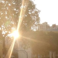 太后暴虐皇上
