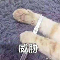 腳踩白蓮花