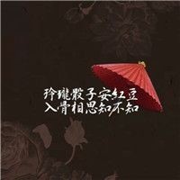 我用尽青春去爱的人