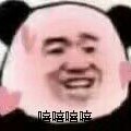 文笔小白作