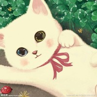 動物的愛情故事