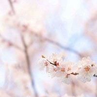 他在现实生活中甩了我