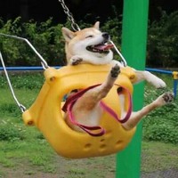 青春心動