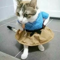 文筆賊菜