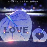 鹿迪1314