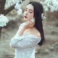 贵族少爷小姐约定