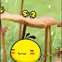 我们之间的牵绊