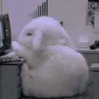 独家甜宠