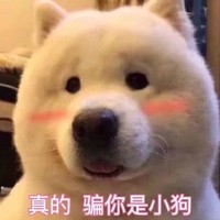青春校園甜文偶像