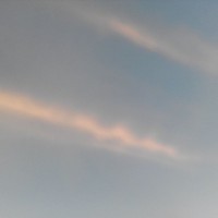 天然撩