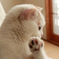 校园惊魂