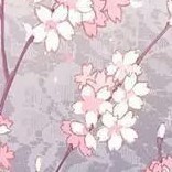 樱花精灵