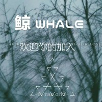 鲸WHALE