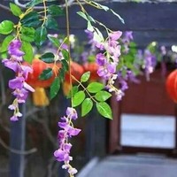 1記錄生活點(diǎn)點(diǎn)滴滴