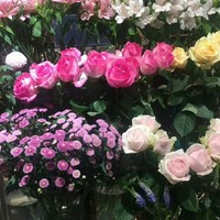 用图片记录生活