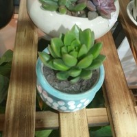看的眼淚嘩嘩的流