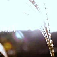 标签是可以删的