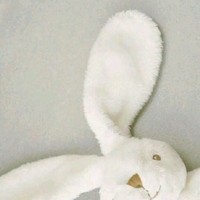不分主角