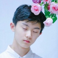 丁F家族