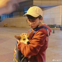 焦邁奇