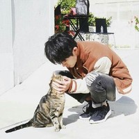 甜寵青梅竹馬