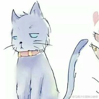 小尾巴