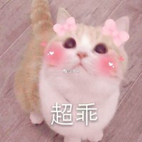有點(diǎn)奇怪