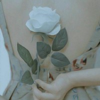 无下限的宠