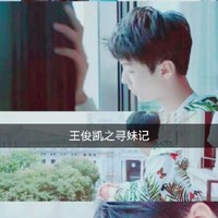寻妹记