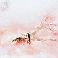 素錦夜華