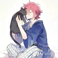 猫妖攻