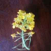 黑水默的別進(jìn)來